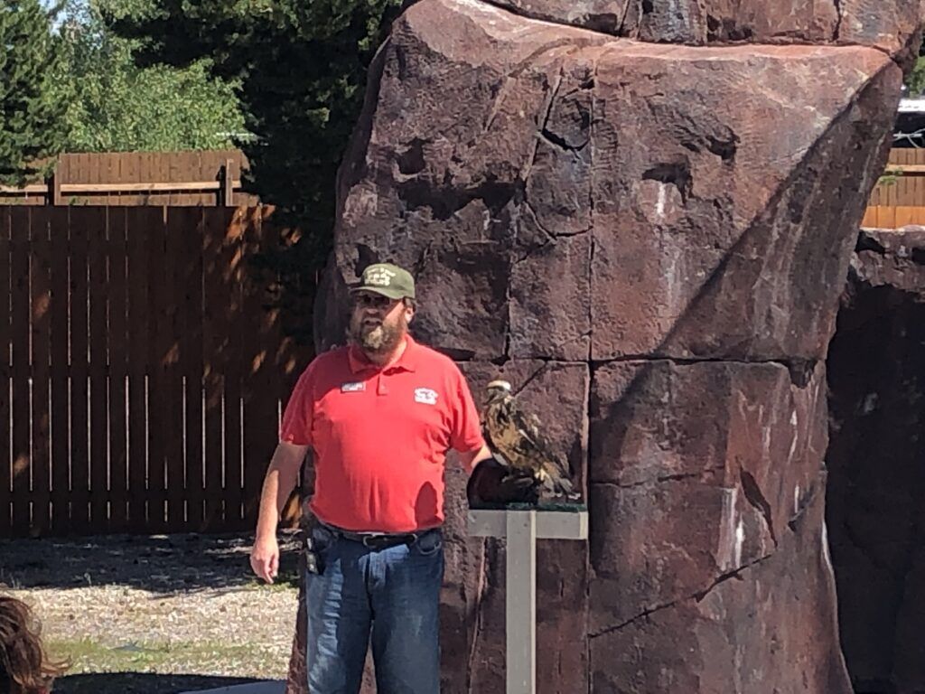 Birds of Prey at Grizzly Discovery Center