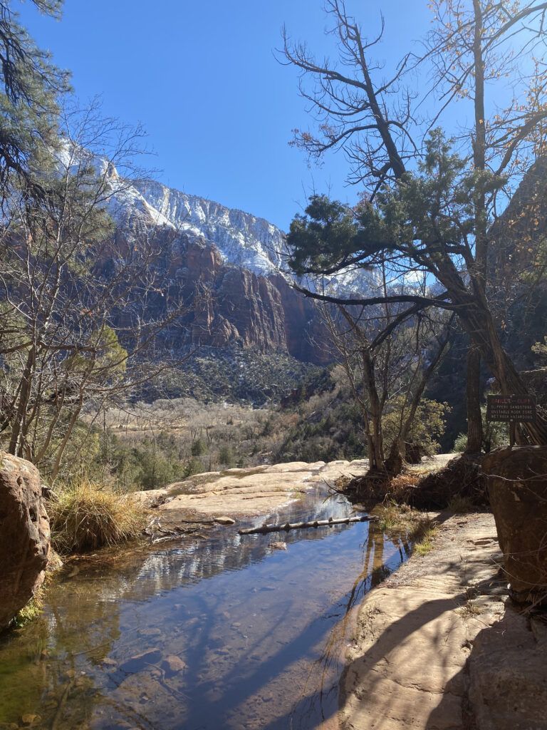 View from Emerald Pools at Zion NPS