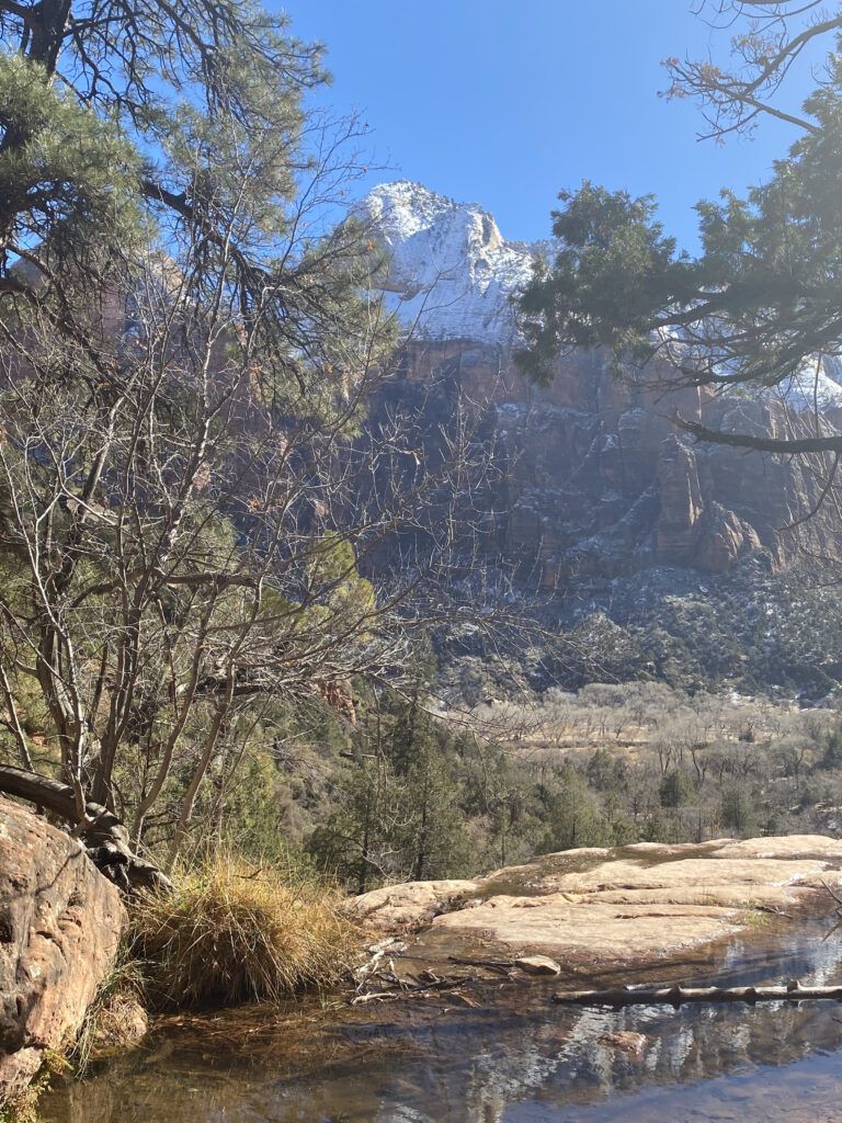 View from Emerald Pools at Zion NPS
