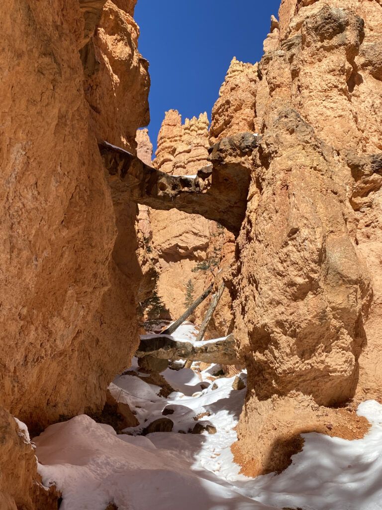 Navajo Loop at Bryce Canyon NPS