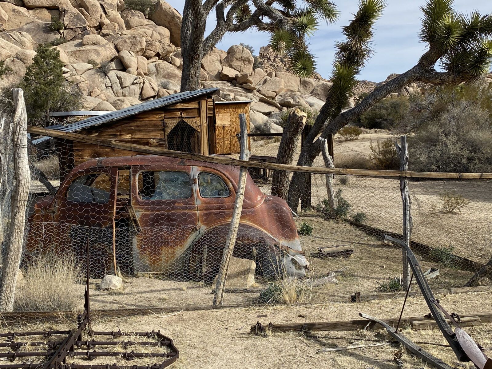 5 Exciting Things to Visit at Joshua Tree NPS