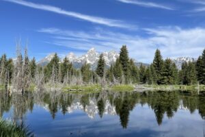 8 Best Things to do at Grand Teton NPS