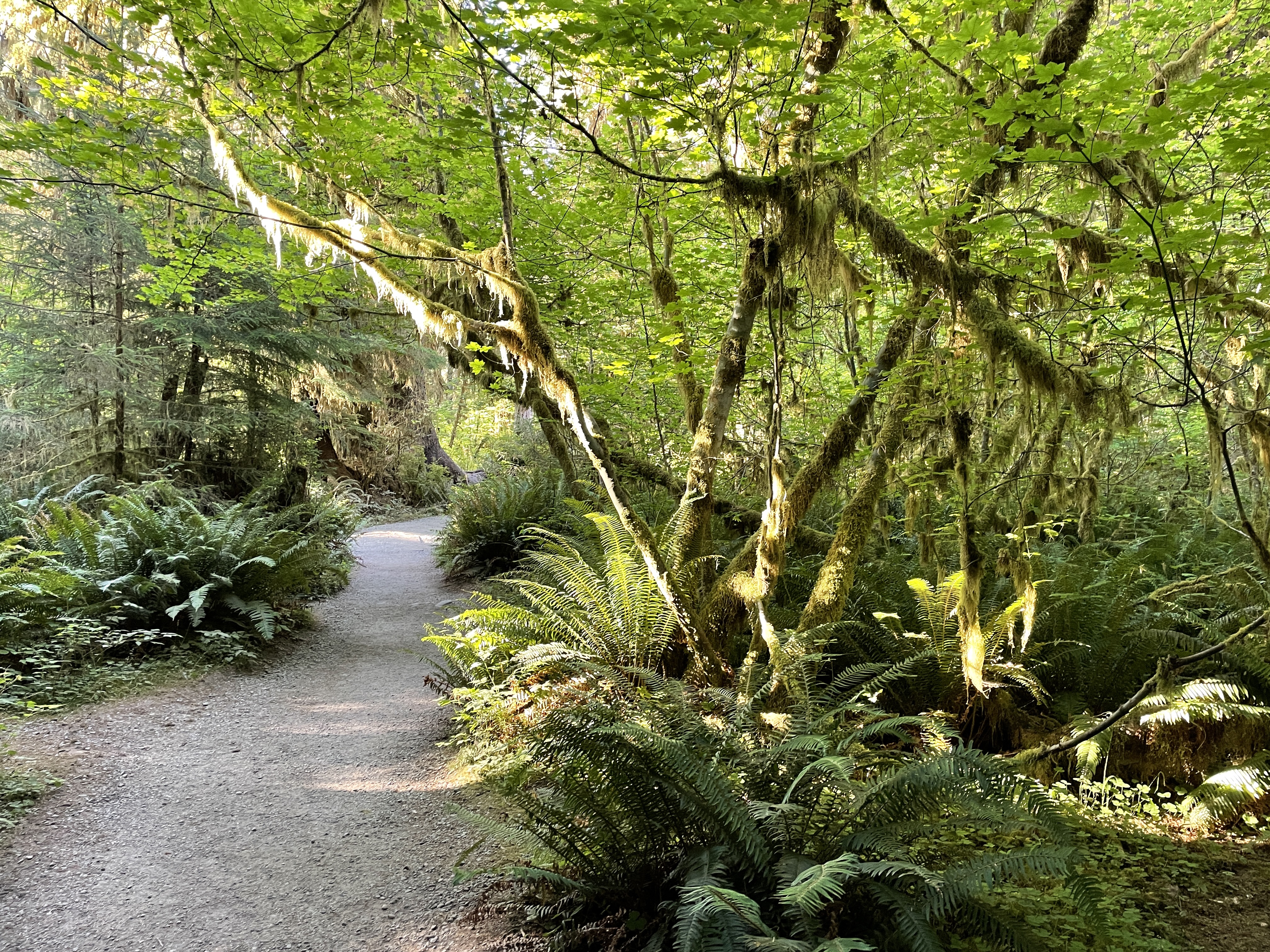 top things to do at olympic nps
