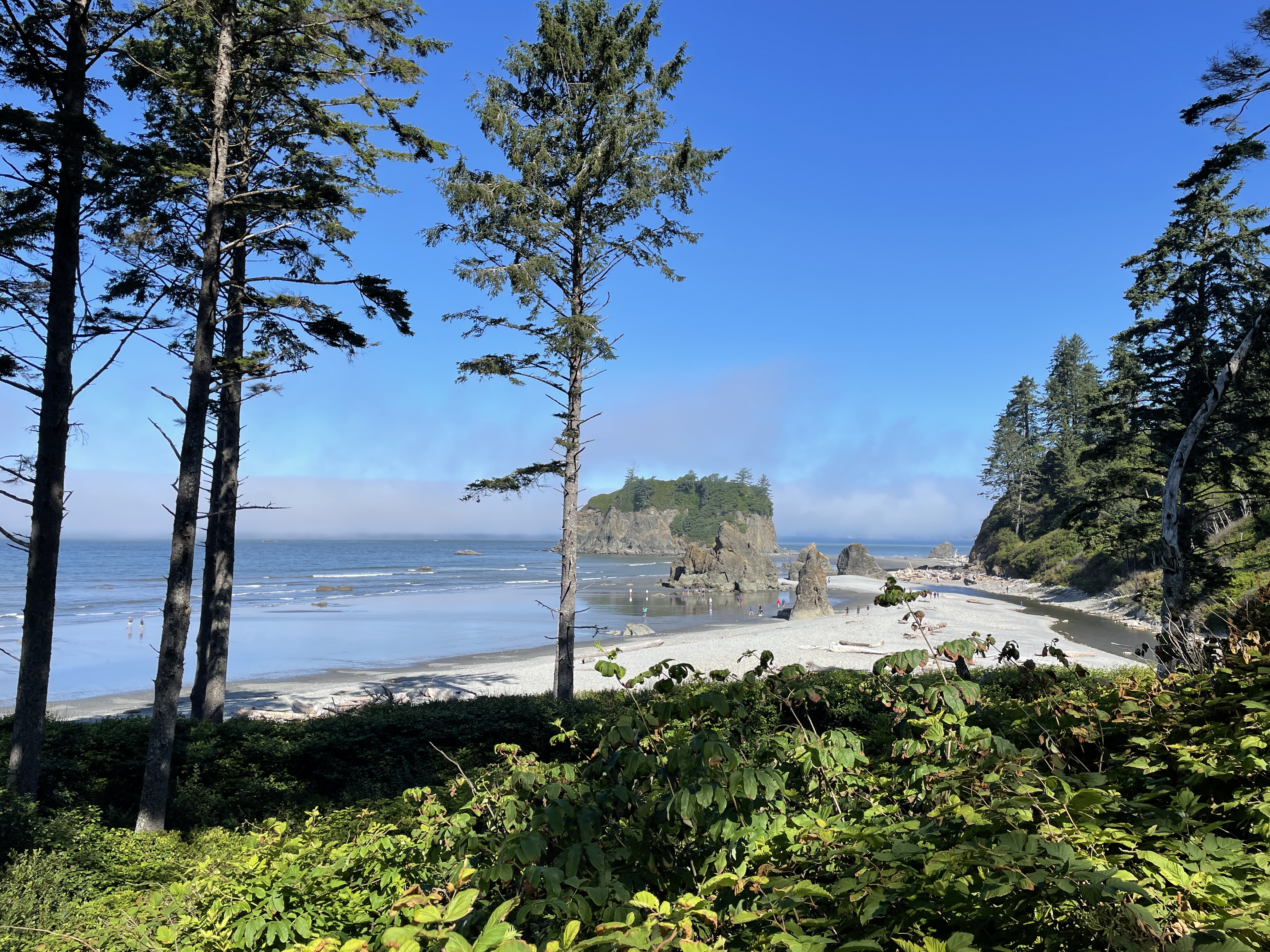 top things to do at olympic nps