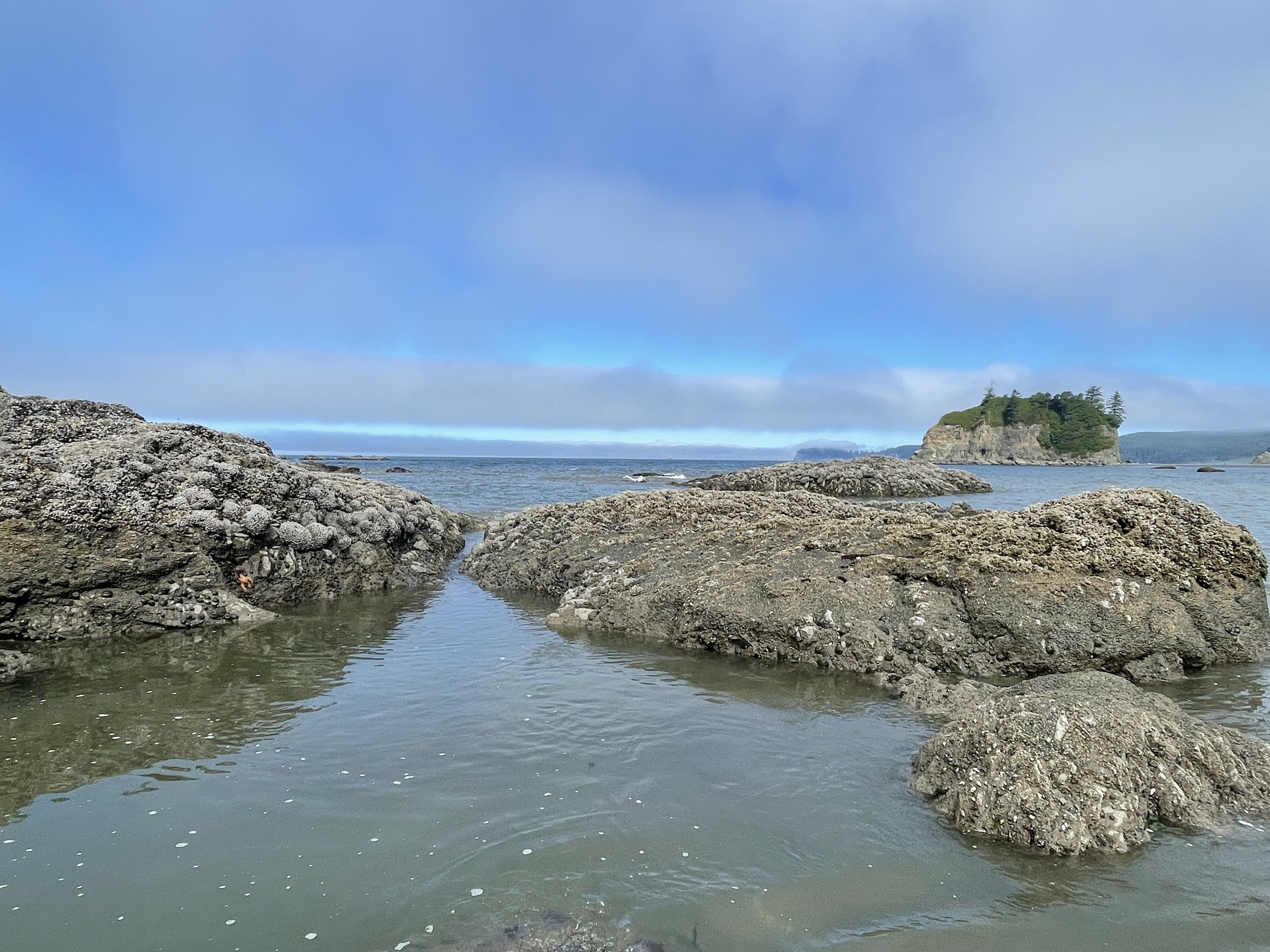 top things to do at olympic nps-Ruby Beach