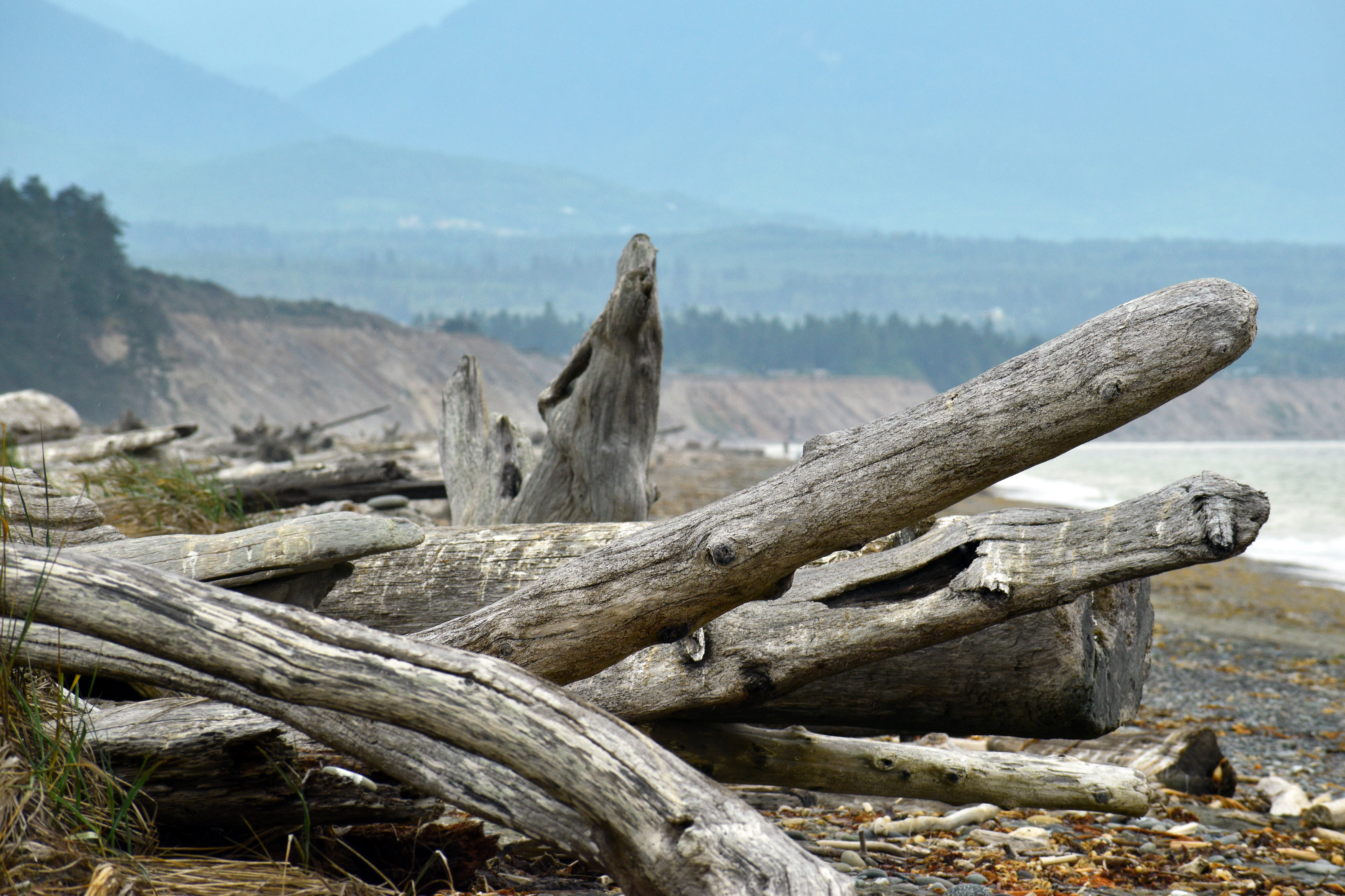 top things to do at olympic nps-Dungeness Spit